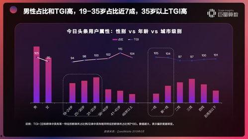 头条流量包投放事项,精准触达，高效转化