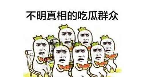 吃瓜群众和加班文案,揭秘职场生活众生相