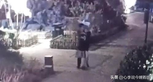 钟楼吃瓜事件视频播放,网络热议背后的真相揭秘