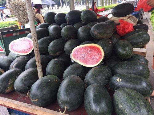 广西玉林最近的吃瓜,夏日美食盛宴来袭