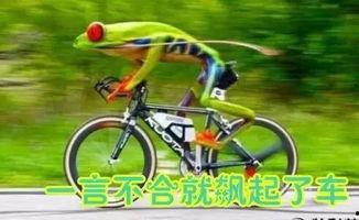 娱乐吃瓜酱自行车
